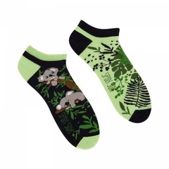 Stopki koala spox sox
