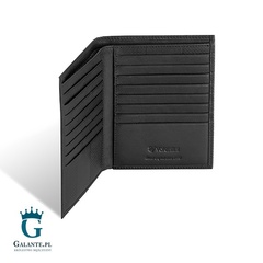 Etui na dokumenty valentini 157-p63