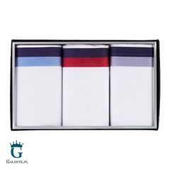 Chusteczki męskie bawełniane lindenmann 50012