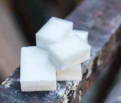 Gąbka do nakładania farb tarrago sponge 1 szt