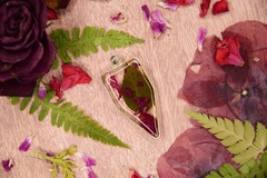 Zawieszka - flora