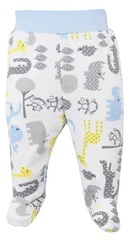 Półśpiochy niemowlęce zwierzyniec koala niebieski