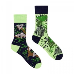 Skarpetki koala spox sox