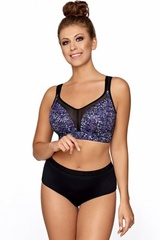 Figi ava ss 002 meteora